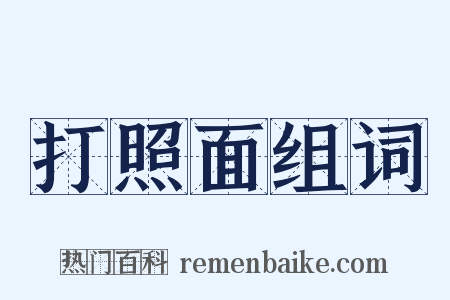 打照面组词是什么意思的图片